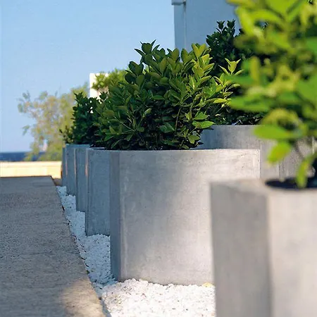 Bellamar Apartament *