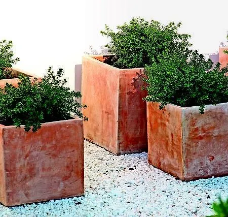 Bellamar Port de Pollença