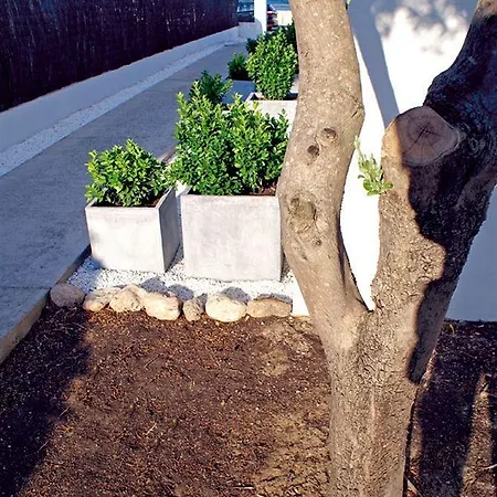 Bellamar * Port de Pollença