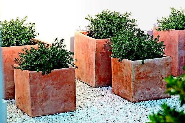 Bellamar Порт-де-Польєнса